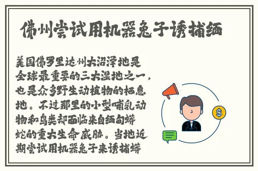 打扑克又痛又疼