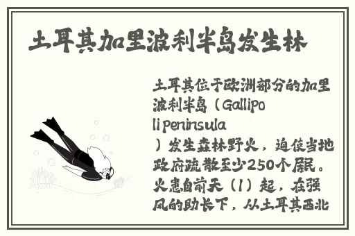 麻豆视传媒短视频在线观看